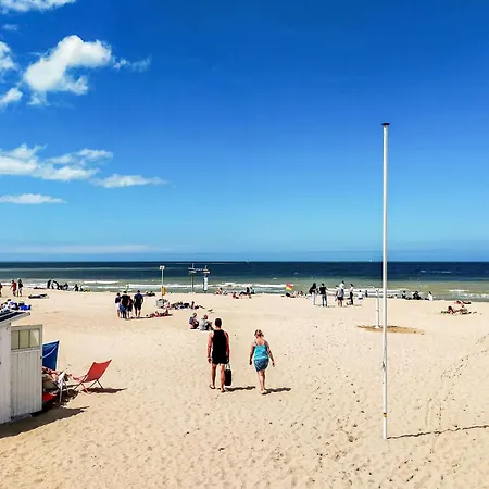 Apartamento Cozy In *